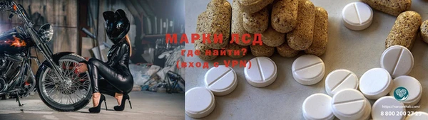 PSILOCYBIN Лабытнанги