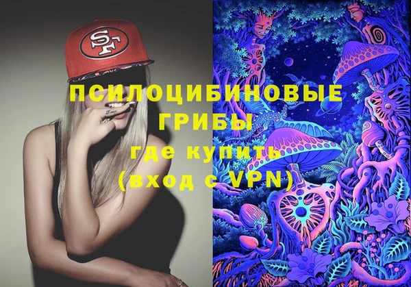 PSILOCYBIN Лабытнанги