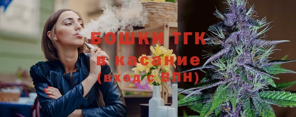 PSILOCYBIN Лабытнанги