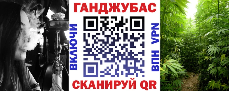 Конопля семена  Купить  Северская 